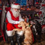 133641958_720158735595243_428524596235083129_n